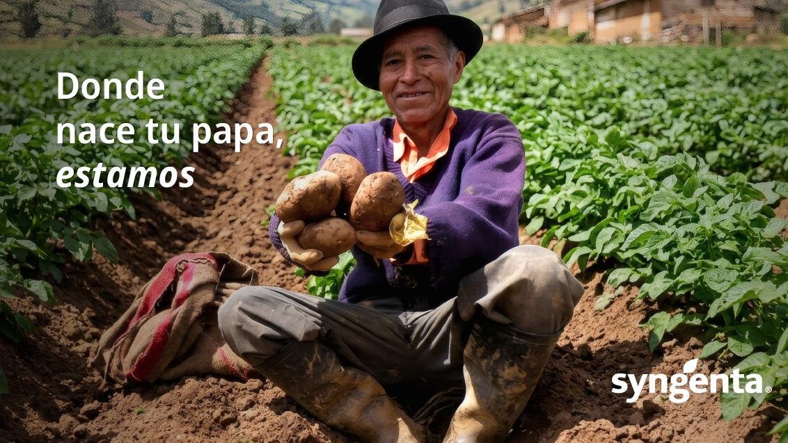 Hombre sentado en un campo de cultivo, sosteniendo una planta; texto y logotipo Syngenta.