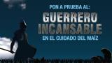 Proclaim Fit, el insecticida protector para tu cultivo de maízProtege tus cultivos de maíz contra el Gusano collorero<br>Conoce más aquí