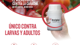 Incipio, a la medida de sus necesidadesLa nueva tecnología Plinazolin garantiza el control efectivo contra la caracha en estado de larva o adultez.<br>Conoce más aquí