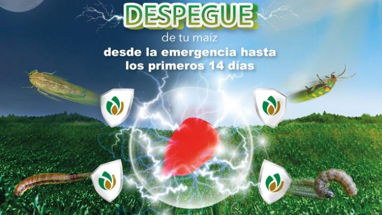 Conoce la nueva solución contra la RanchaÚsalo en cualquier etapa del cultivo, fácil de mezclar y resiste el lavado por lluvia.<br>Conoce más aquí