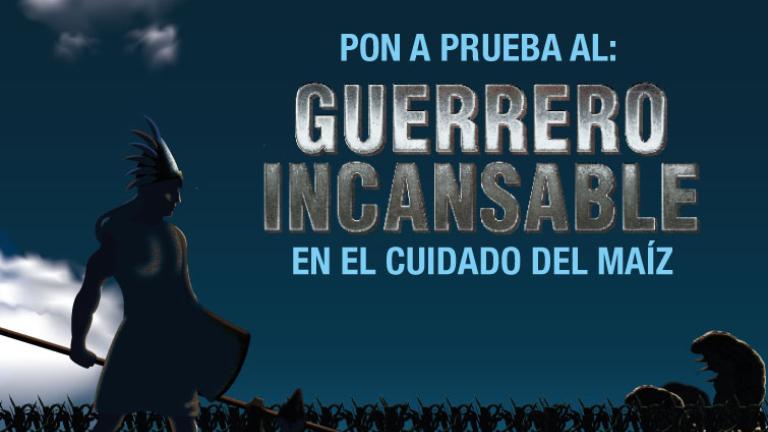 Proclaim Fit, el insecticida protector para tu cultivo de maízProtege tus cultivos de maíz contra el Gusano collorero<br>Conoce más aquí