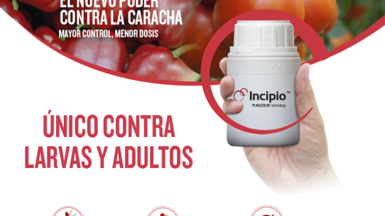 Incipio, a la medida de sus necesidadesLa nueva tecnología Plinazolin garantiza el control efectivo contra la caracha en estado de larva o adultez.<br>Conoce más aquí