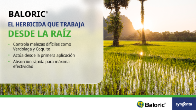 Anuncio de Baloric con campo al atardecer y texto “El heredero que trabaja desde la raíz”.