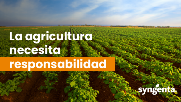 Campo de cultivo verde; texto “La agricultura necesita responsabilidad” y logo Syngenta.