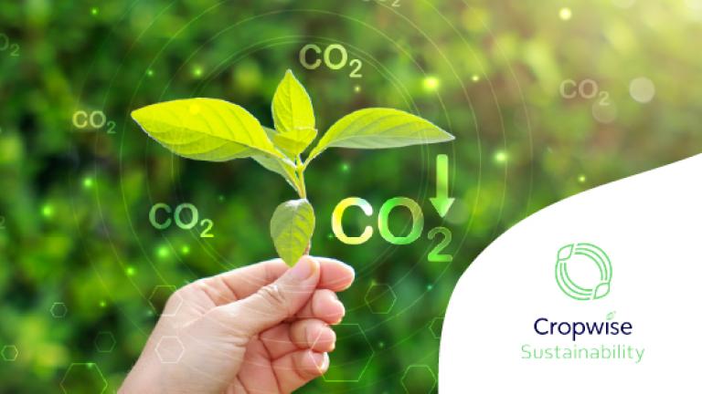 Mano sosteniendo una planta verde con texto “CO₂”; logo de Cropwise Sustainability