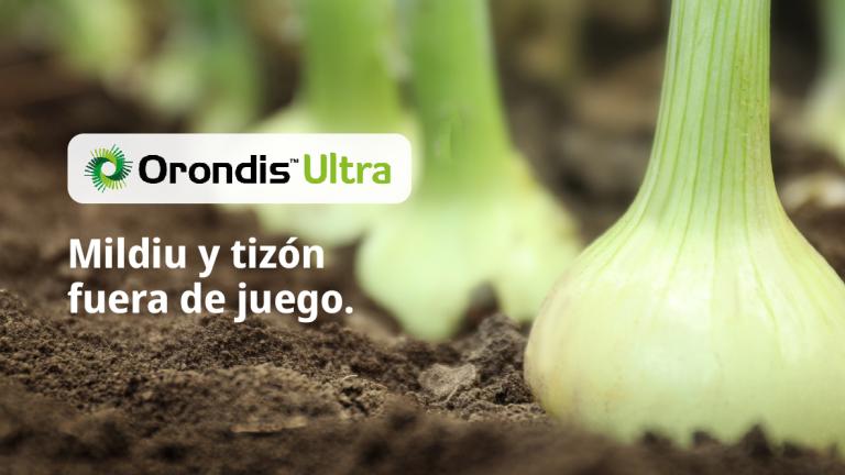 Fotografía de un brote de cebolla en tierra con logo Orondis Ultra y texto promocional