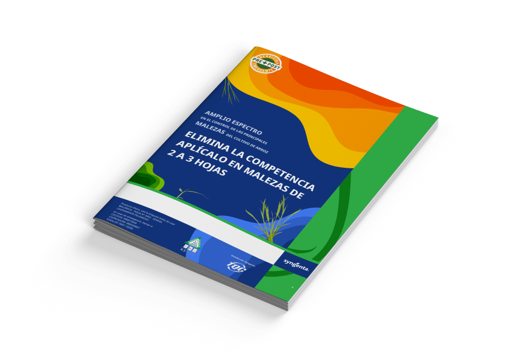 brochure_mockup_baloric.png