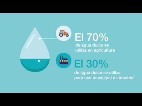 Syngenta Water