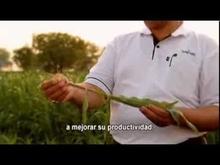 Nuestra Contribución
