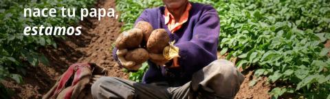 Hombre agricultor sentado en un campo; texto “Donde nace tu papa, estamos” y logo Syngenta.